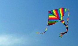 东岛风筝爆料最新消息,揭秘神秘事件背后真相